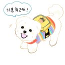 진진카서비스 | APR,2025