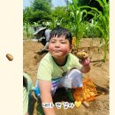 나래농원 이미지