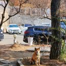 청궁 염소요리전문점 이미지