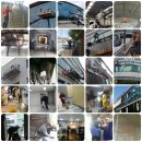 학교 바닥청소( 동두천,양주,포천,연천,철원,의정부,구리,남양주,가평,양평,파주,고양,일산,부천,김포...