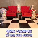 동성로 실내데이트 앨리스 이스케이프 금두꺼비 방탈출 성공