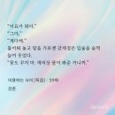 톱제화 | 강춘 - 이용하는 사이 (283)