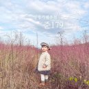 준179 이미지