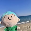 속초뽑기방 네이버블로그