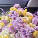 영암낭주고등학교 이미지