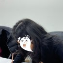 (주)준메디케어 | 엘지 프라엘 메디헤어 HGN1 1년 사용 후기 feat .두피케어