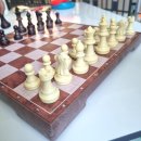 두뇌발달체스 이미지