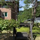 연화봉펜션 이미지