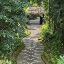 (주)웰니스팜 이미지