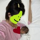 내품애동물병원 | [서대문구 공공산후조리원 품애가득] 입소 후기 4탄 그런데 산후우울증을 곁들인