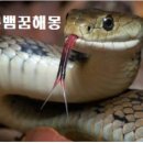 엄청큰