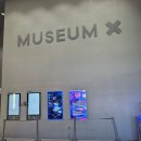 엑스프린트 | 강원도 속초 갈만한 곳 뮤지엄엑스 실내 데이트 추천