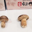 송암2농장 네이버블로그