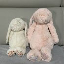 정관장 벌교점 | [임신기록 28w - 29w] 조리원연계 만삭사진, 장거리이동, 임산부감기, 다리부종