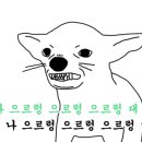 신아림 이미지
