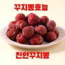 꾸지뽕효능 진안꾸지뽕 / 전북특별자치도 농촌융복합산업 제품판매장 입점 품평회