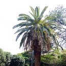 걸매축구장 인조잔디구장 이미지