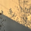 스테이 심심 | [경주] 한옥스테이 동방가 펜션 독채 숙소 만족스러웠던 후기 내돈내산