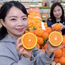 오렌지마트 이미지