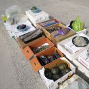 신평공설시장 이미지