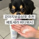 주식회사 펫생각 | 수분·보습 채워주는 강아지 샴푸 추천 페토세라 바디워시 모이스처 플러스