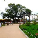 동산안과의원 이미지