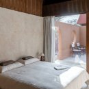 선셋티아 이미지