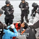 어로가 이미지