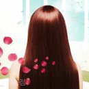 헤어토픽 이미지