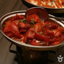 타지펠리스 이미지