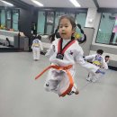 국가대표청룡태권도장 이미지