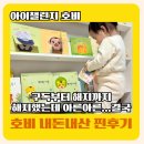 준비할머니경로당 | 아이챌린지 호비 스텝0~스텝2 구독부터 해지까지 내돈내산 찐후기! (생활습관은 역시 호비🐯)