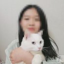 서울하은동물병원 이미지