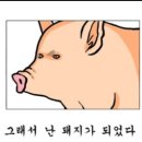 Wellness Gym 이미지