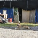 지리산 다랭이 스테이 이미지