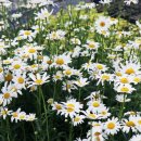 두륜산농장 이미지