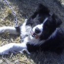 주인농장 이미지