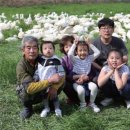 정현덕농장 네이버블로그