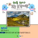 하루하나 티스토리