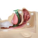 대원산소 이미지