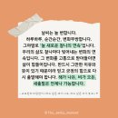 찰나의오늘