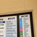 강원도 태백 가족여행, 태양의후예 촬영지 통리탄탄파크 다녀온 후기