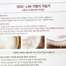황금의추억필자의디디오랩가습기와겨울진객양미리요리