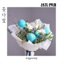 [오프라인] ★자이언트플라워★ / 화양동 | [플라워상품] 서면꽃다발 전포꽃예약 부산생화판매 해운대꽃포장 양정꽃집 연산꽃가게 광안리플라워...