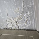 수목원제일풍경채 | [대구 줄눈 시공] 직접 시공한 폴리우레아 줄눈 제거 후 재시공 (수목원 제일풍경채 사례)