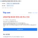 발리행 말레이시아항공(MH039) 예약, 지연, 결항, 환불, 여행 취소 후기^^