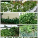 미르농장 이미지