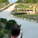 화랑유치원 | 8월일상, 21개월아기 구강검진, 화랑설화마을, 까사평사, 청도오브제토, 김해어린이박물관, 영덕 파나크...