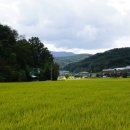 남산1리마을회관 이미지