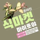 보나마켓